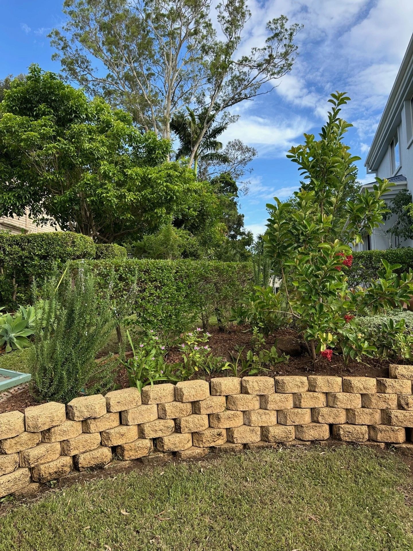 Clean lawn care result