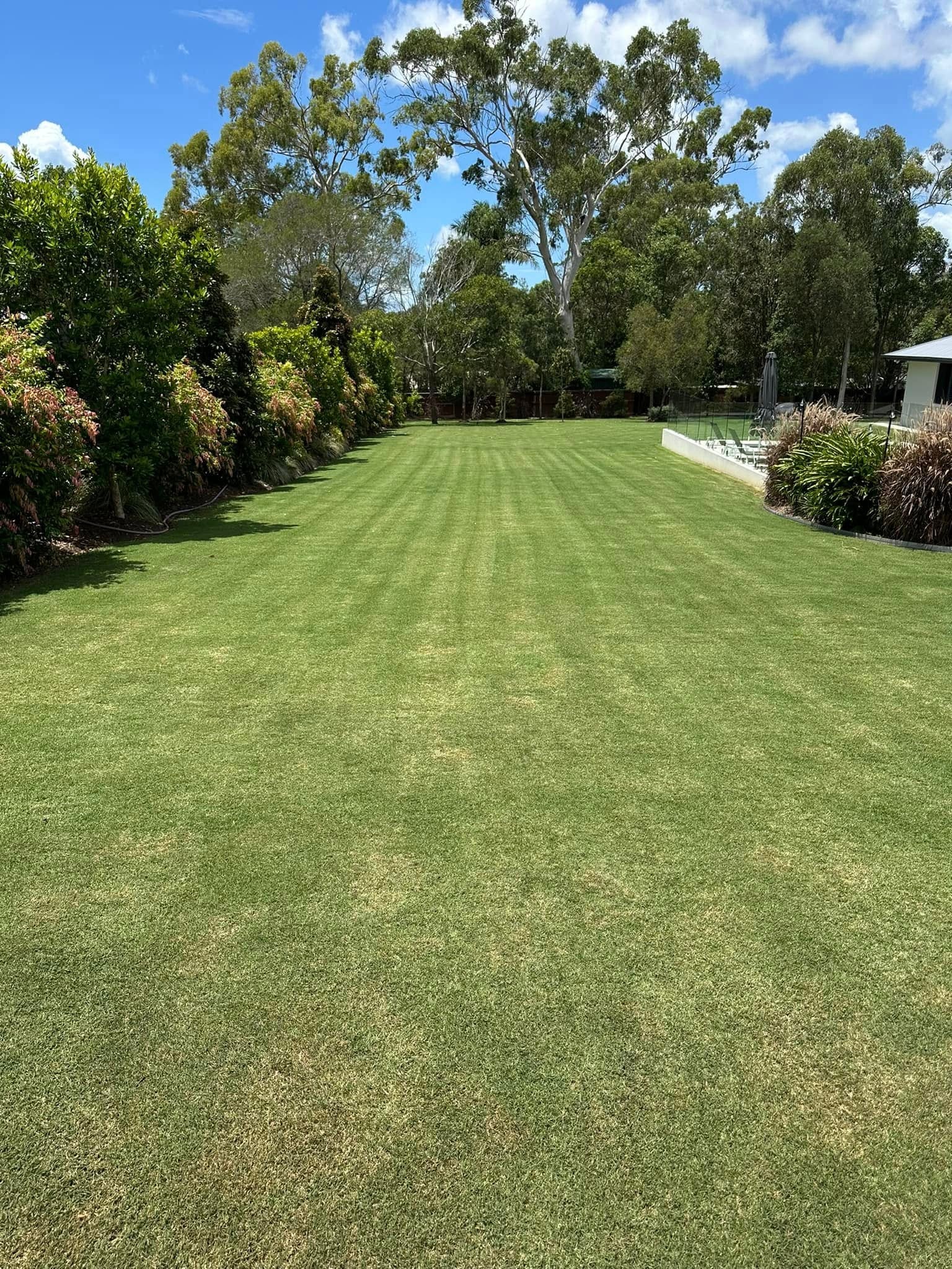 Residential lawn and garden